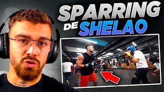 BOXEADOR PROFESIONAL REACCIONA el SPARRING de BOXEO de SHELAO para LA VELADA DEL AÑO 3- jonferTV