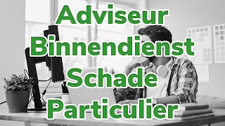 Vacature Adviseur Binnendienst Schade Particulier | Diks Verzekeringen