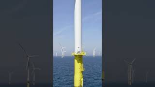 Different types of offshore wind turbine foundations.