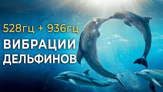 528гц + 936гц Исцеляющее Пение Дельфинов для Восстановления Энергии, Снятия Стресса и Глубокого Сна💤