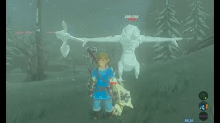 My Breath Of The Wild BRUH Moments Part 2