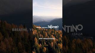 Caterina Gagliano - A New Forest - LIFE IN TRENTINO  #travel #trentino #authenticitaly