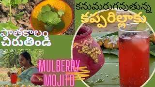 #mulberry mojito#kapparillaku Bajji #mostsatisfying Vidio.women’s day special