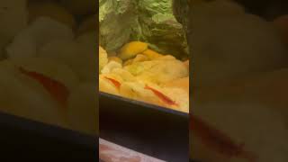 Red Shrimps Feeding