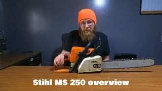 Best Homeowner Chainsaw? Stihl MS 250