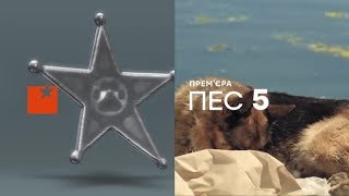 Премьера! Пес 5 сезон в октябре