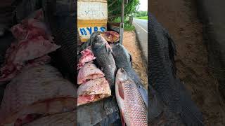 Wow!! Traditional Street Village Fish Markets #shorts