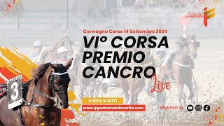 Live VI° Corsa del 14 Settembre 2024 - 3 Anni - Metri 1600