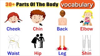 English Vocabulary : 30+ Parts of Body Vocabulary with meanings | vocabulary skills in English