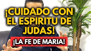 ‼️ LA FE DE MARIA Y EL ESPIRITU DE JUDAS!