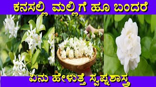 ಕನಸಲ್ಲಿ ಮಲ್ಲಿಗೆ ಹೂ ಬಂದರೆ | Dream of jasmine