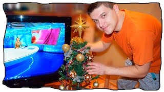 Вытащил елку 🎄 из телевизора. Лайфхак как быстро поставить елку