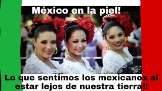 México en la piel. Lo que sentimos los mexicanos al estar lejos de nuestra tierra.