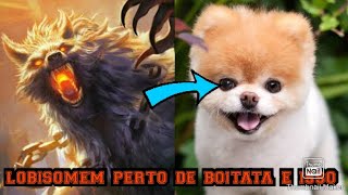 lobisomem vs boitata (minha versão)