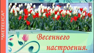 Весеннего настроения! Проект ProShow Producer.