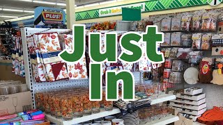 Dollar Tree 2023 | NEW Finds This Week😮😮😮