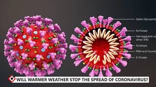 Will warmer weather stop the spread of coronavirus?