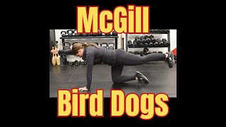 ChiroMovement Uploaded: McGill Bird Dog