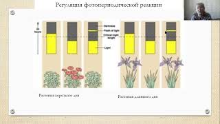 Экологические группы растений