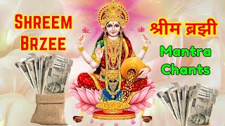 धन से मालोमाल करने वाला मंत्र Shreem brazee #mantra #shreembrzee for abundance #money