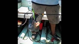 pescando en boca del río Veracruz.