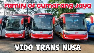 RILIS‼️Vido Trans Pariwisata, Family of Gumarang Jaya, SR3 Panorama #gumarangjaya #buspariwisata