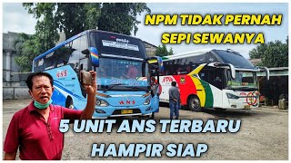 ANS AKAN MELUNCURKAN BUS BARU ‼️ 5 UNIT SIAP RELEASE || ALHAMDULILLAH NPM SELALU RAMAI-RAMAI PEMINAT