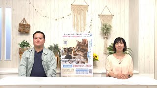 とっておき！高松【飼い主のいない猫を増やさない！～たかまつwithにゃんこプロジェクト2024～】