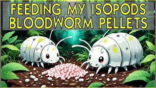 😭 Some of my Isopod Colony Died!!!😭