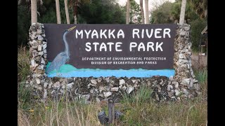 MYAKKA RIVER STATE PARK & CAMPGROUNDS