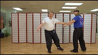 Beginning Taiji (Tai Chi):  Why You Need to Know the Meaning of the Movements