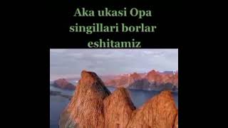 Aka - uka opa - singlisi borlar eshiting