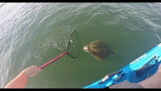 Early July NJ Kayak Flounder