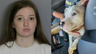 Pit bull chews off five fingers from infant, Animal Control manager defends the breed