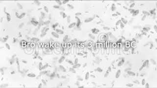 Bro wake up its 3 million BC