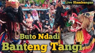 Gebyar jaranan Buto Banteng Tangi live Blambangan