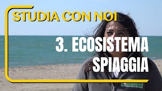 3 - La spiaggia è viva - Scopri l'Ecosistema Spiaggia