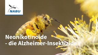 Neonikotinoide: So gefährlich sind die Insektizide