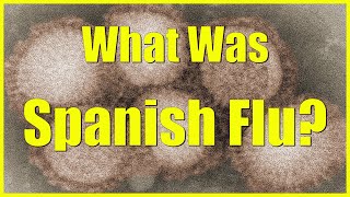 The Spanish Flu, What was it?