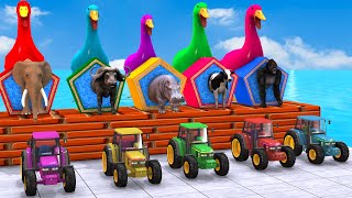 5 Giant Duck, Monkey, Piglet, chicken, dog, mammoth ,tiger, Sheep, Transfiguration funny animal 2024