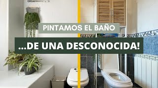 Pintamos azulejos de un baño