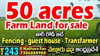 50 Acres | Farm Land for sale | Sydapuram (AP) Nellore Dt | MRE-243|| 7386888988#MedhanshiRealEstate