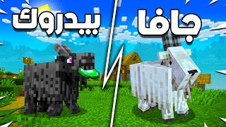 50 اختلاف بين ماين كرافت الجافا والبيدروك | البيدروك ضد الجافا