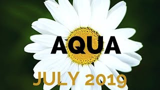 Aquarius - Eclipse Pushes them Away - July 2019