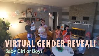 VIRTUAL GENDER REVEAL!