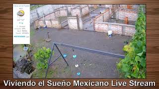 Viviendo el Sueño Mexicano Live Stream - LLuvia -  Martes 31 de Octubre del 2023