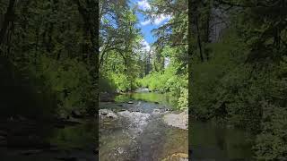 Black Rock Streams #oregon #hiking #travel #adventure #scenery #nature #river #forest #asmr