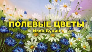 Полевые цветы. Иван Бунин