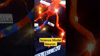 How to make neuron Model | #viralvideo #viral #shots #shorts #trending #shortsfeed #science #model