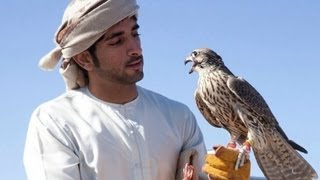 Falconry in UAE